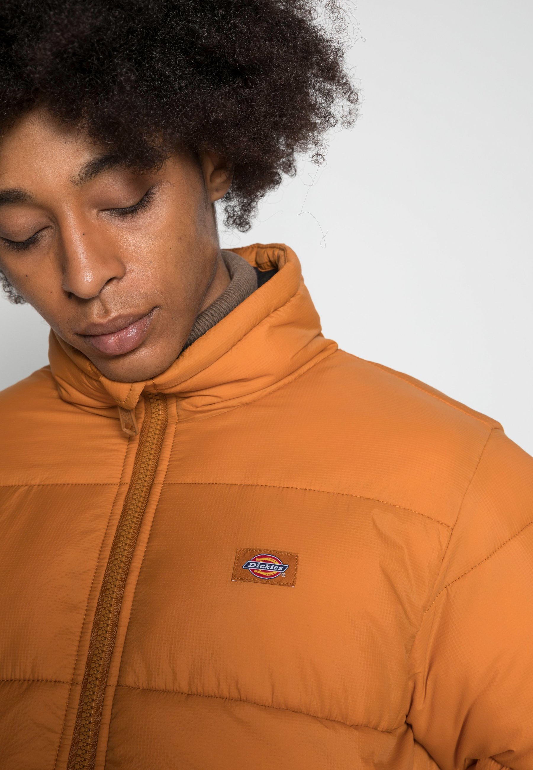 Dickies WALDENBURG PUFFER JACKET 