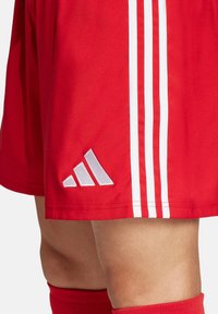 adidas Performance TASTIGO 25 - Korte broeken - rot