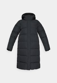 PITTSFIELD - Téli kabát - basic black