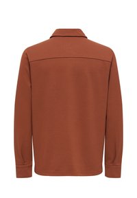 Μπλούζα μακρυμάνικη σε σκουριά απόχρωση με επίπεδη γιακά και ίσιο ραφή στον πίσω καβαλέτο, εμφανίζεται από πίσω με λευκό φόντο.