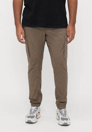 JJIPAUL JJFLAKE - Pantalones cargo - brown