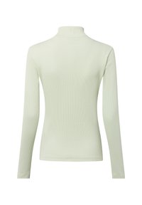 Jasnozielony, długi rękaw, prążkowany golf, dopasowany krój, jednolity wzór, pokazany od tyłu na białym tle.