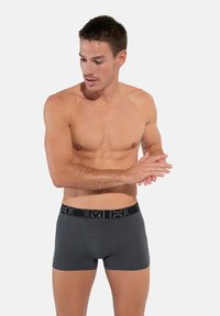 Šedé boxerky vyrobené z elastického materiálu, s černým značkovým pasem, přiléhavým střihem a klasickým krátkým nohavicovým střihem.