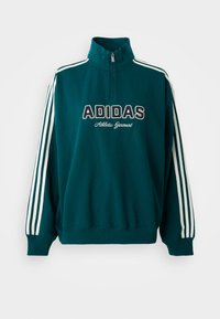 QUARTER ZIP - Mikina - aurora ivy