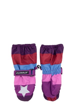 STERNE - Tumvantar - himalaya c-himalaya