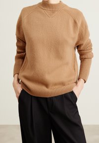 Pull en maille marron avec un col montant côtelé, des poignets côtelés ajustés et une coupe décontractée. La texture semble douce et confortable.