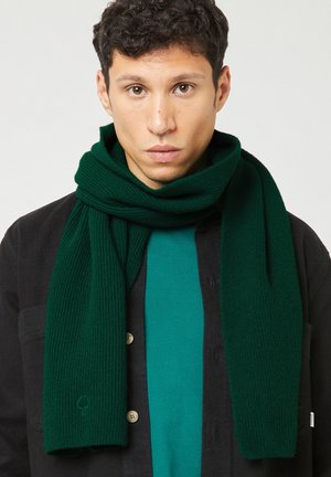 Jonge man die een donkergroene gebreide sjaal draagt over een turquoise trui en zwart jack, kijkend recht in de camera met een neutrale uitdrukking.