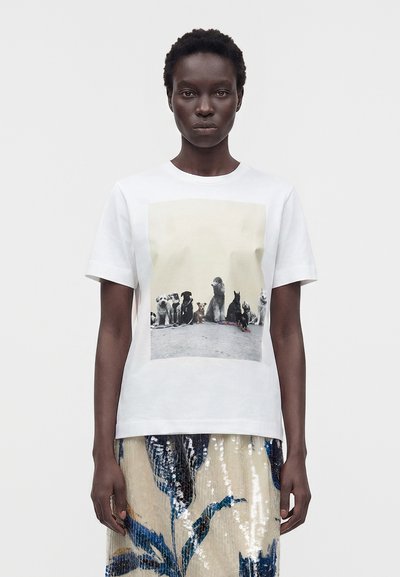 Personne portant un t-shirt blanc avec une photo de différentes races de chiens assises en rang, associée à une jupe à sequins avec des motifs floraux bleus.