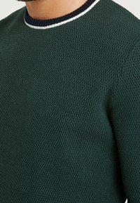 Mörkgrön stickad tröja med en texturerad mönster, med en marinblå ribbad krage med vita accentstrimmor.