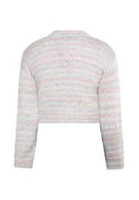 Pastellgestreifter, gestrickter, verkürzter Pullover mit langen Ärmeln, von hinten auf einem weißen Hintergrund gezeigt.