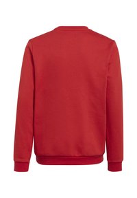 Felpa rossa con collo rotondo, maniche lunghe e polsini e orlo a costine. Tessuto liscio, design semplice, senza motivi o accenti particolari.