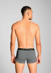 Grey boxer briefs with a black elastic waistband featuring the Puma logo, displayed from the back view on a bare torso.