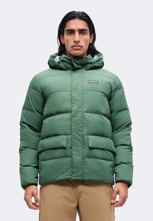 Patagonia SISAR HOODY - Μπουφάν με πούπουλα - canopy green