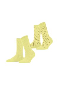 Unausgewählt, daffodil