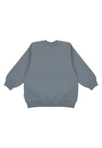 Szara bluza z długimi rękawami, okrągłym dekoltem, ściągaczami na mankietach i u dołu. Gładka faktura materiału, minimalistyczny wzór bez dodatkowych zdobień.