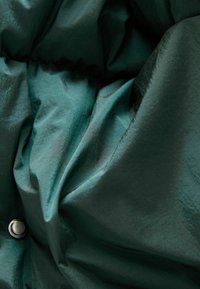 Next REGULAR FIT - Geacă - green