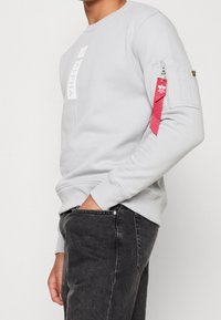 Alpha Industries Sudadera - light grey