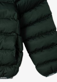 Lacoste PUFFER - Vinterjakke - sinople