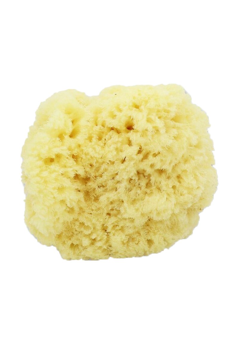 Naturlicher Meeresschwamm, runde Form, weiche Textur, hellgelbe Farbe, poröse Oberfläche mit feinen Fasern, geeignet zum Baden oder Reinigen.