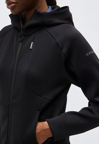 Άτομο που φοράει μαύρο φούτερ με φερμουάρ και κουκούλα, με τσέπες μπροστά και το λογότυπο "Icepeak" στο στήθος και στον μανίκι.