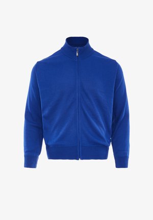 Maglione blu con zip, caratterizzato da un colletto alto, polsini e orlo a costine, realizzato in un tessuto lavorato a maglia morbido con una superficie liscia.