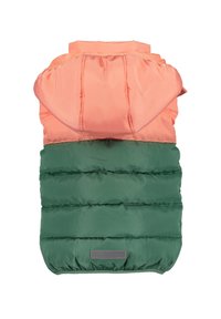 Blue Seven MIT ABNEHMBARER KAPUZE - Weste - grün