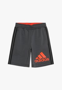 Grå sportshorts med elastisk midjeband, svarta sidoflikar och en stor orange Adidas-logotyp på framsidan. Slät tygtextur.
