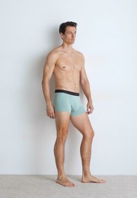 Menns boxer briefs i lys mintgrønn bomull med svart midjebånd, med en tettsittende design og en glatt tekstur, vist på en modell.