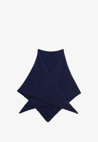 Ausgewählt, tinted navy