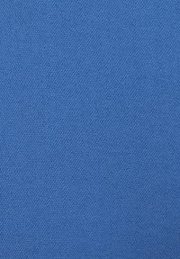 Světlá modrá tkanina s hladkou strukturou, která má pravidelný úplet. Vhodná pro čalounění nebo dekorativní projekty.