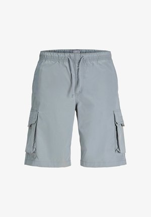 Jack & Jones, JPSTCOLE IVAN TECH CARGO JOGGER SHORTS - Shorts - grau