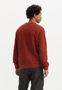 Rust-rode sweatshirt met een ronde hals en geribbelde manchetten. Zachte stof, losse pasvorm en een plain achterkant zonder versieringen.