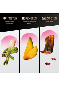 Immagine in miniatura 8