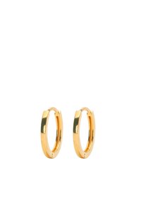 Guldøreringe i hoop med en slank oval form, glat struktur og poleret overflade. Har et sikkert lukkedesign for nem påføring.