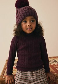 Next REGULAR FIT-ROLL NECK - Džemper - purple