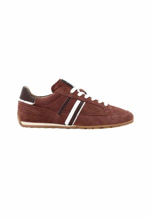 AllSaints, LIAM LACE UP - Trainers - rust red