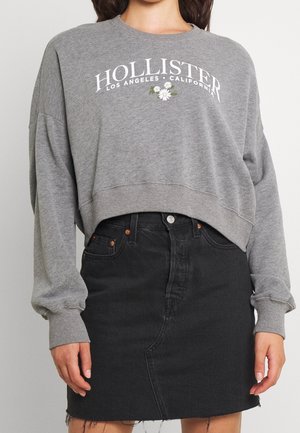 Hollister Co. Sudadera - grey