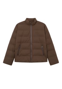 NOOR RIPSTOP - Casaco de inverno - slate brown