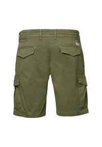 MCS Shorts - winter moss