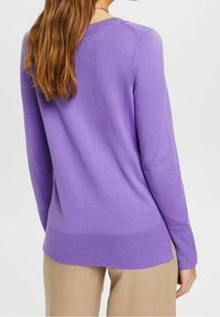 Lavendeltröja med rund halsringning, långa ärmar och ribbad nederkant. Mjuk stickad textur och sömlös axeldesign.