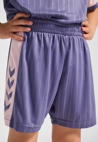 Lila Sportshorts mit vertikalen Streifen, elastischem Bund und pinken Akzenten mit Chevron-Muster auf einer Seite.