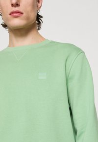 Lichtgroene sweatshirt met ronde hals, geribbelde boorden en een subtiel reliëf logo op de borst. Zachte stof met een gladde textuur.