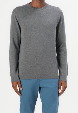Man wearing a plain grey long-sleeve crewneck sweater and blue pants, standing against a white background.