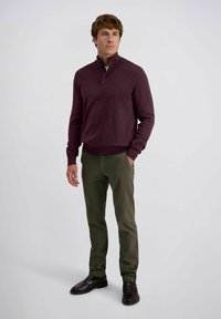 Burgunderfarbener Pullover mit Reißverschlusskragen, kombiniert mit olivgrünen Hosen. Das Model steht mit den Händen in den Taschen und trägt dunkle Schuhe. Einfarbiger Hintergrund.
