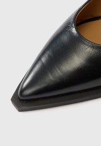 Fekete bőr cipő hegyes orral és lapos gumitalppal. A felső széle mentén lekerekített kivágással rendelkezik. Simább textúra.