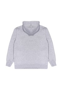 Felpa grigia con cappuccio e maniche lunghe, realizzata in morbido tessuto misto cotone. Presenta una tasca a marsupio e polsini e fondo a costine.