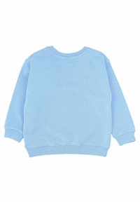 Felpa in cotone azzurro chiaro con texture a coste, collo rotondo e maniche lunghe. Presenta un design semplice senza decorazioni.