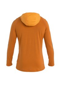 icebreaker MERINO 200 MID WEIGHT SONEBULA HALF ZIP HOOD - Maglietta a manica lunga - DARK ORANGE