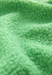 Next OUTDOOR BORG QUARTER ZIP - Flisinis džemperis - green