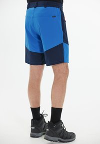 Whistler AVIAN ACTIV STRETCH - Friluftsshorts - skydiver
